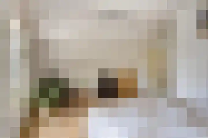 Narcislaan 25 Heesch thumbnail 31
