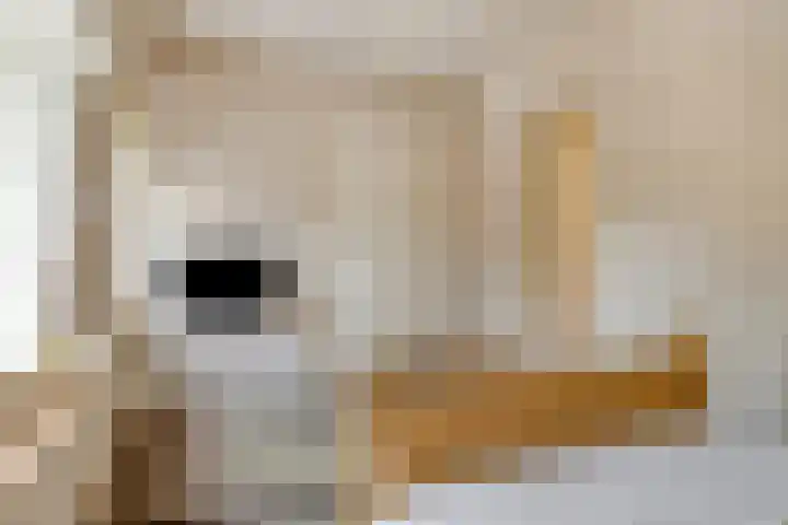 Narcislaan 25 Heesch thumbnail 34