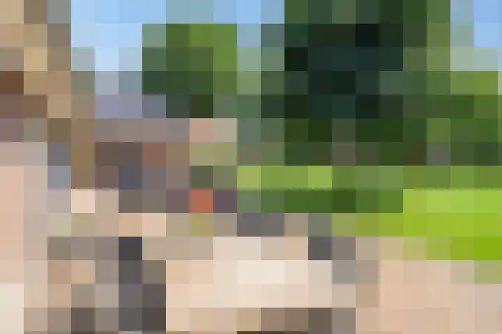 Narcislaan 25 Heesch thumbnail 41