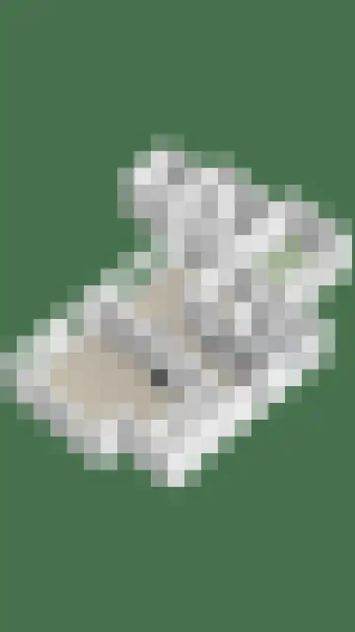 Narcislaan 25 Heesch thumbnail 64
