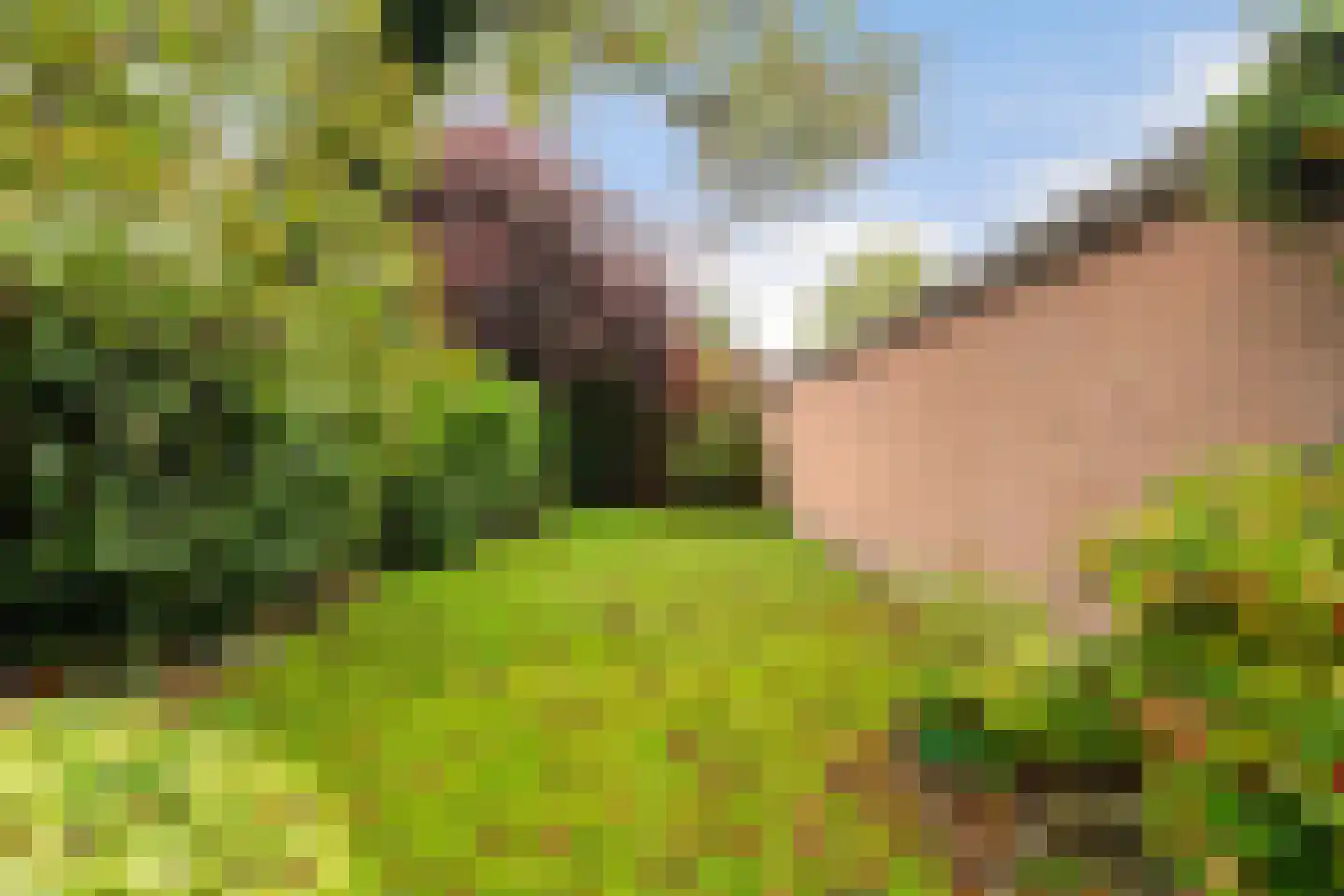 Narcislaan 33 Wassenaar thumbnail 31