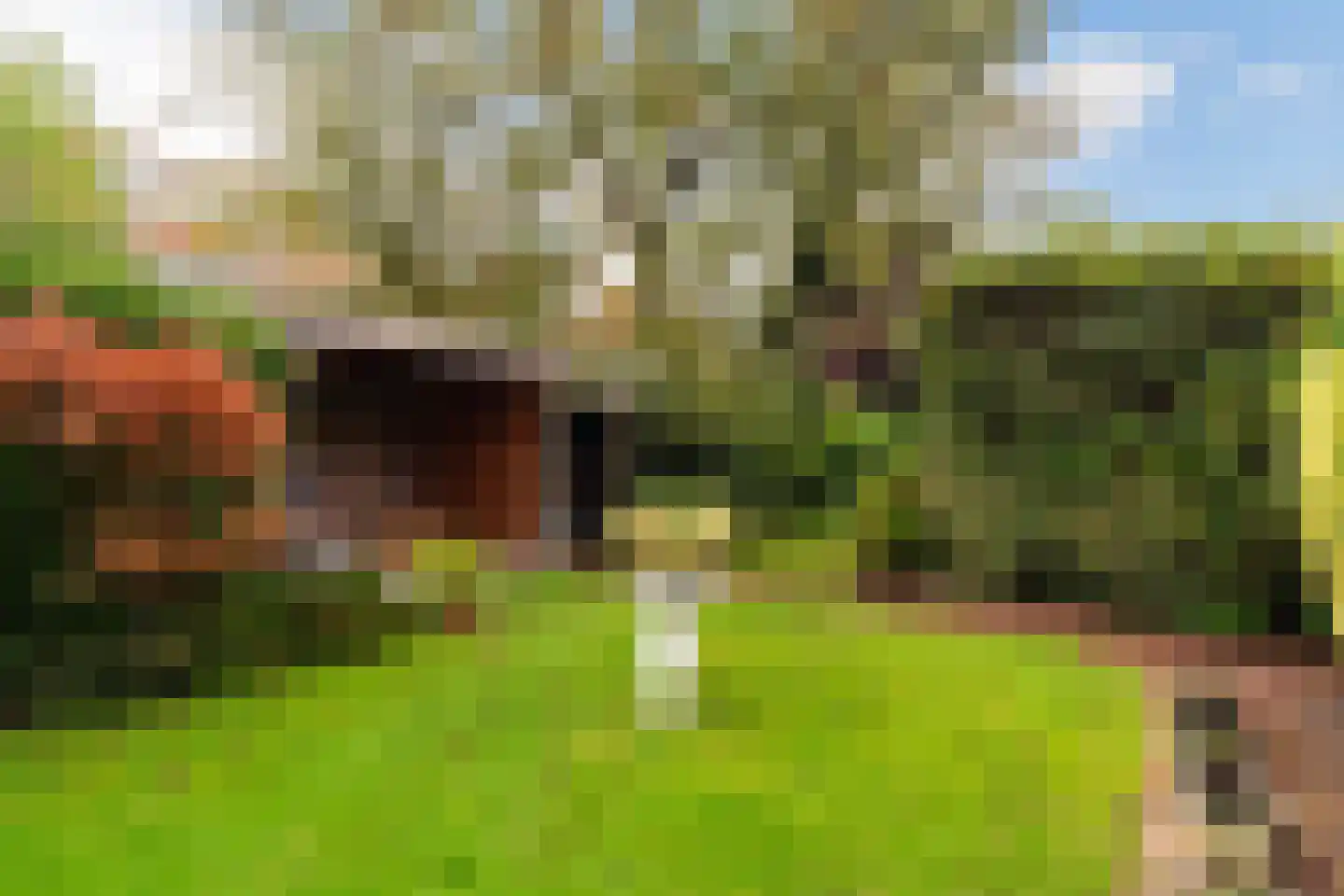 Narcislaan 33 Wassenaar thumbnail 45