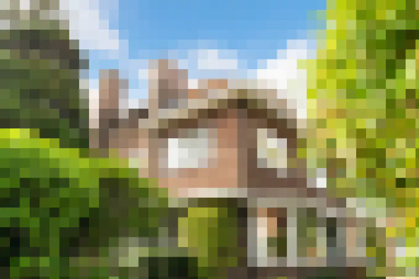 Narcislaan 33 Wassenaar thumbnail 52