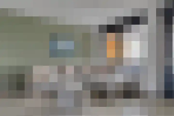 Narcislaan 35 Valkenswaard thumbnail 11