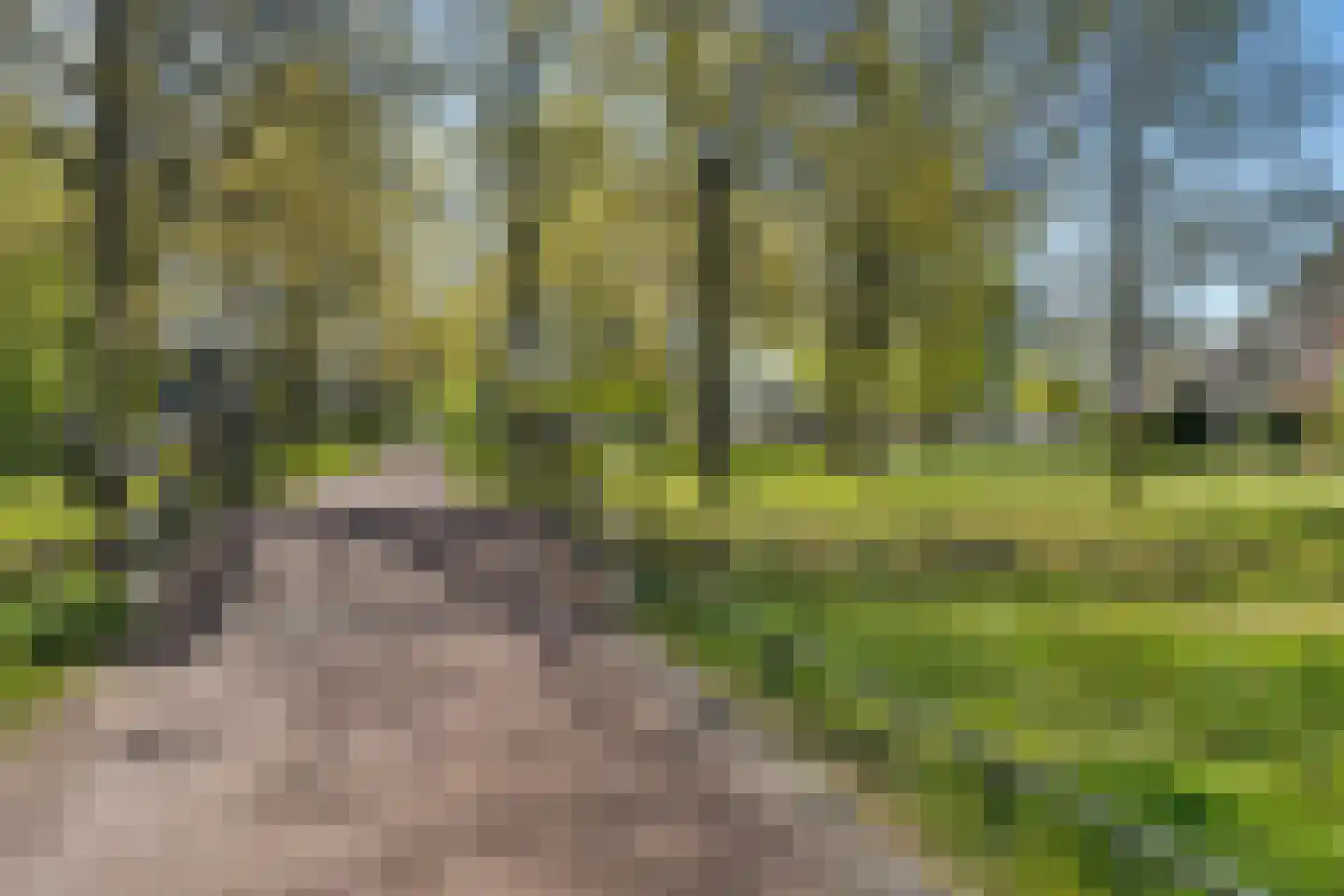 Narcislaan 4 41 Heerenveen thumbnail 34