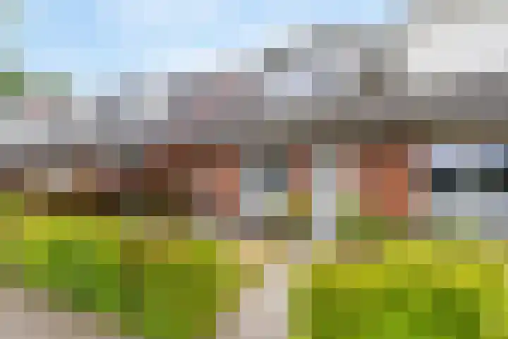 Narcislaan 41 Valkenswaard thumbnail 26