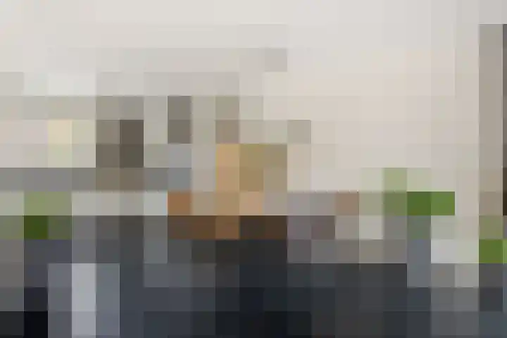 Narcislaan 41 Valkenswaard thumbnail 7