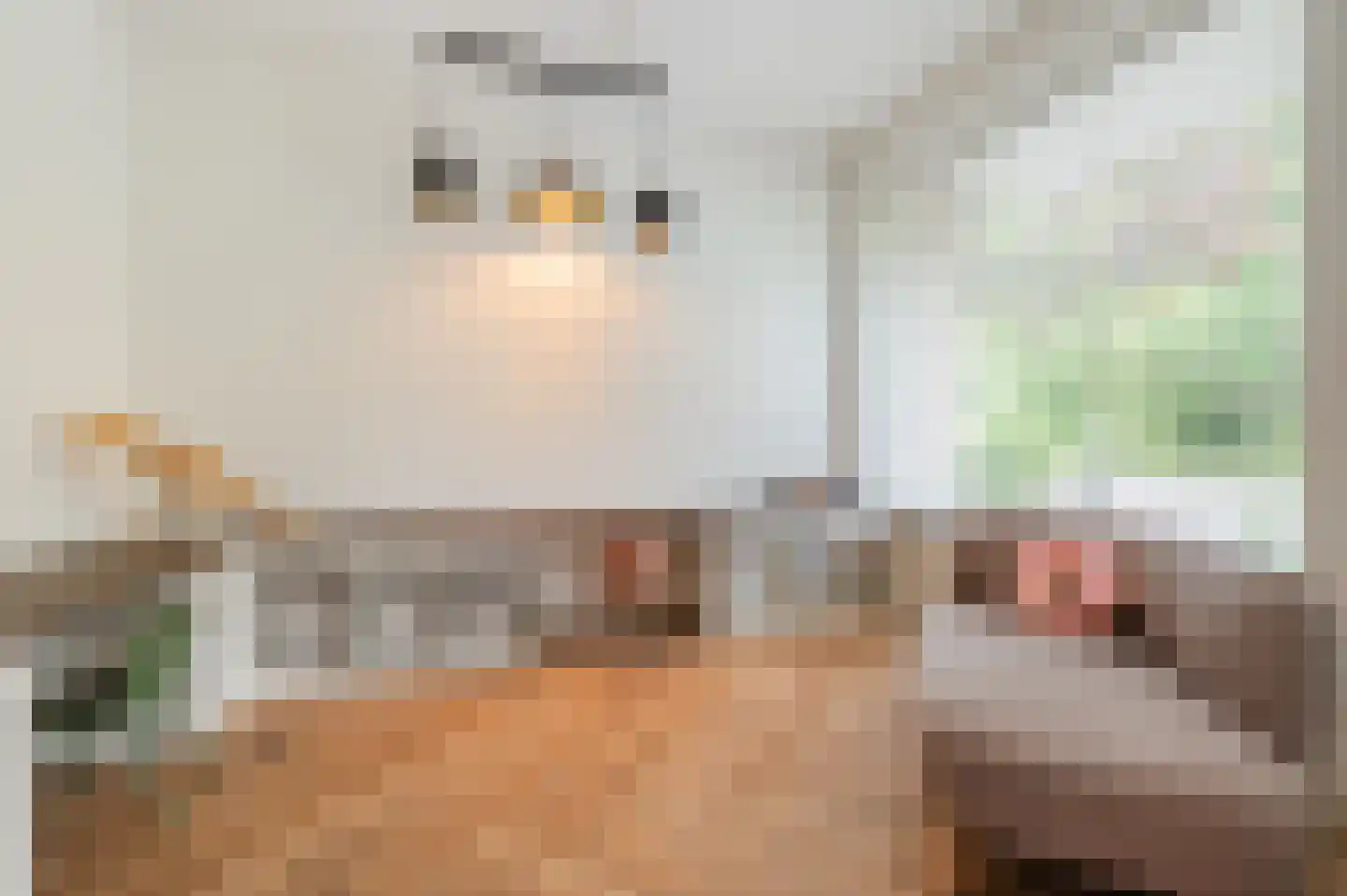 Narcislaan 5 Leende thumbnail 26