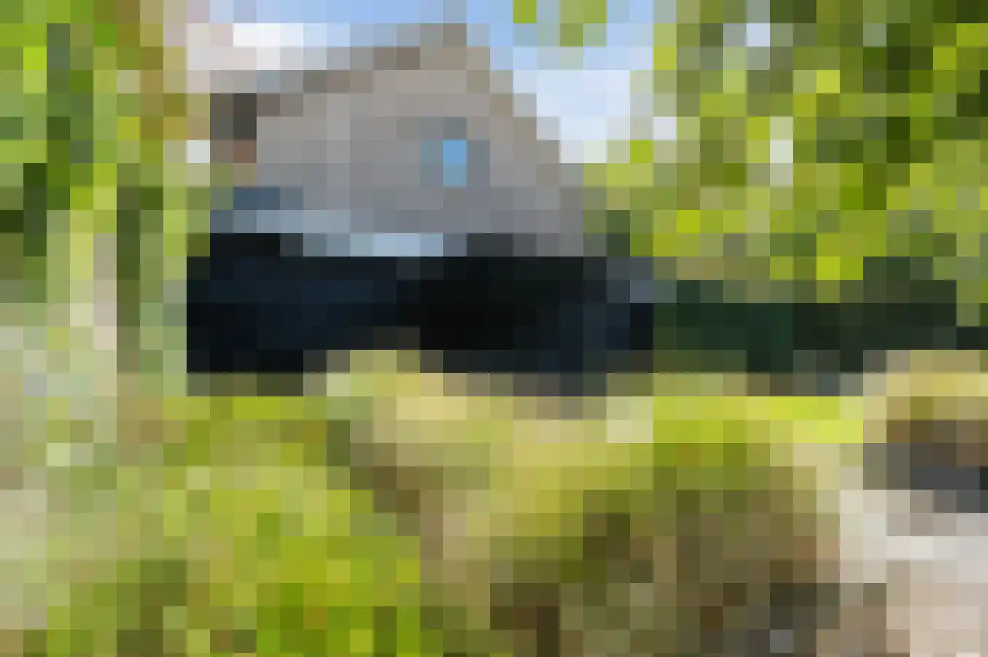 Narcislaan 5 Leende thumbnail 56