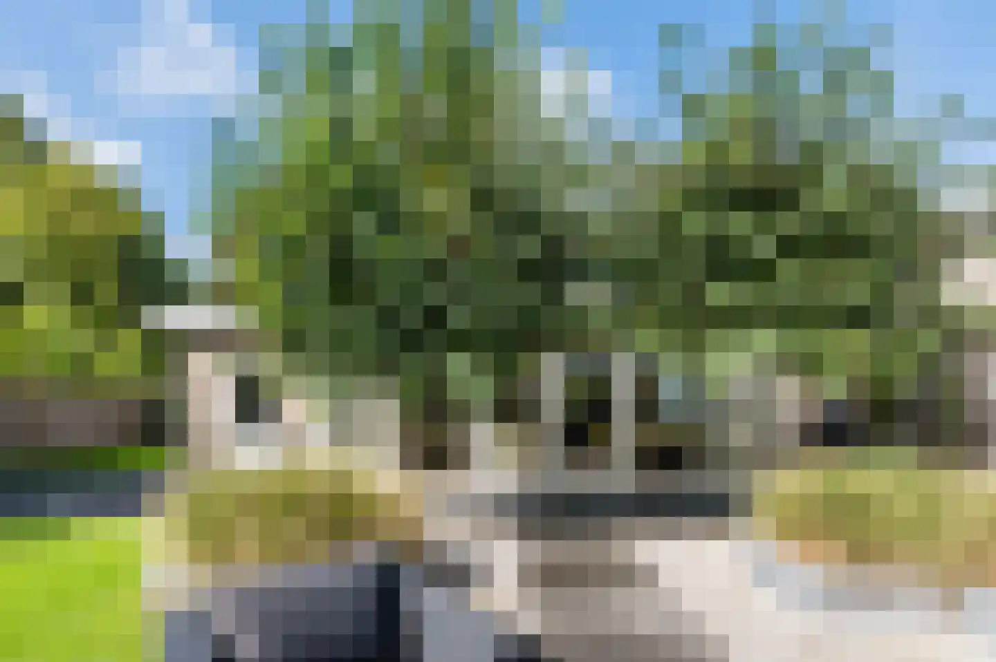 Narcislaan 5 Leende thumbnail 60