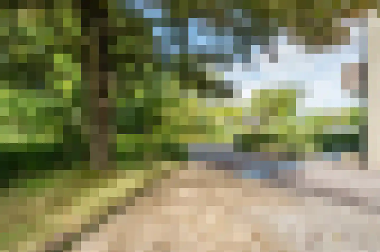Narcislaan 5 Leende thumbnail 65