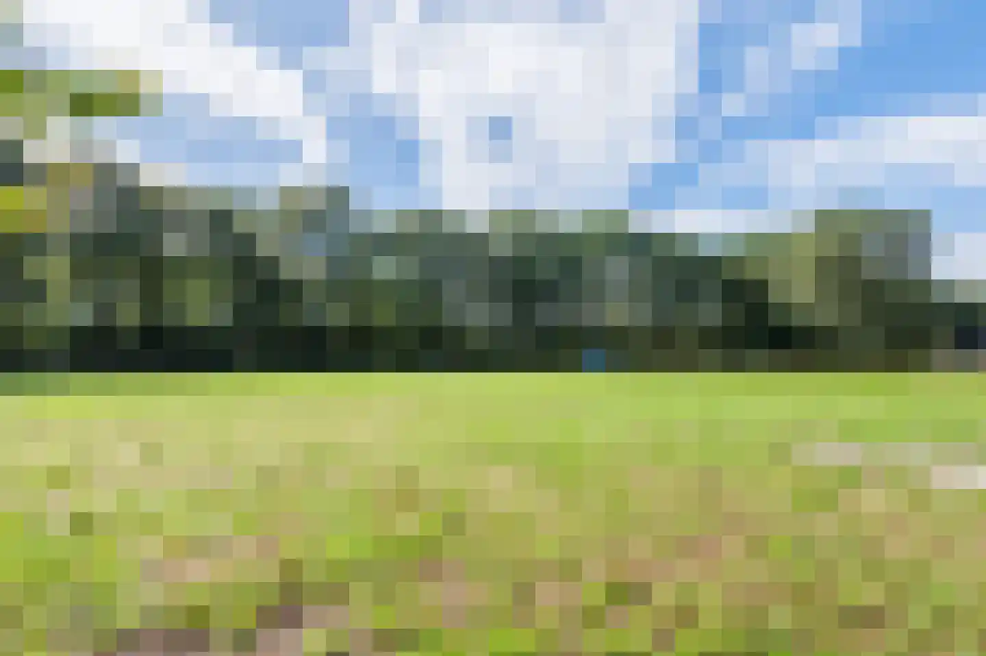 Narcislaan 5 Leende thumbnail 70