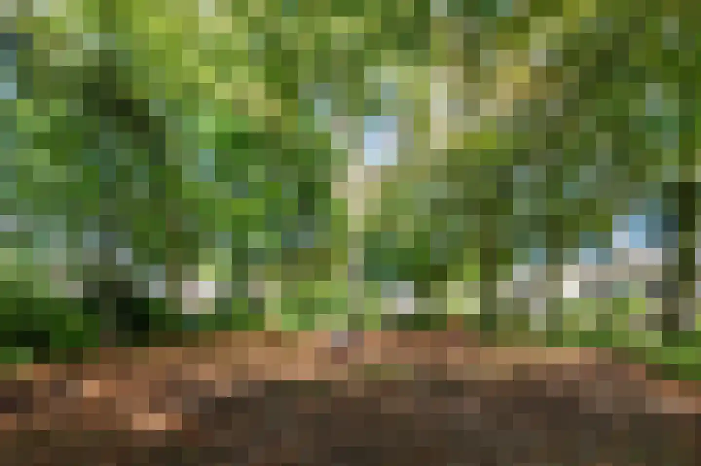 Narcislaan 5 Leende thumbnail 71