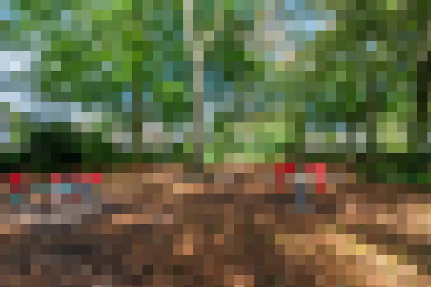 Narcislaan 5 Leende thumbnail 72