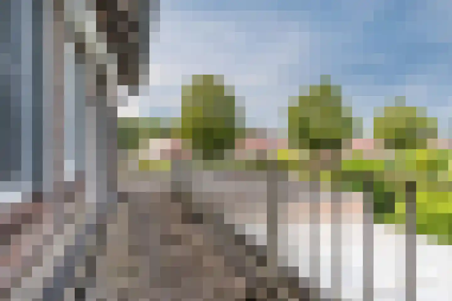 Narcislaan 50 Leende thumbnail 23