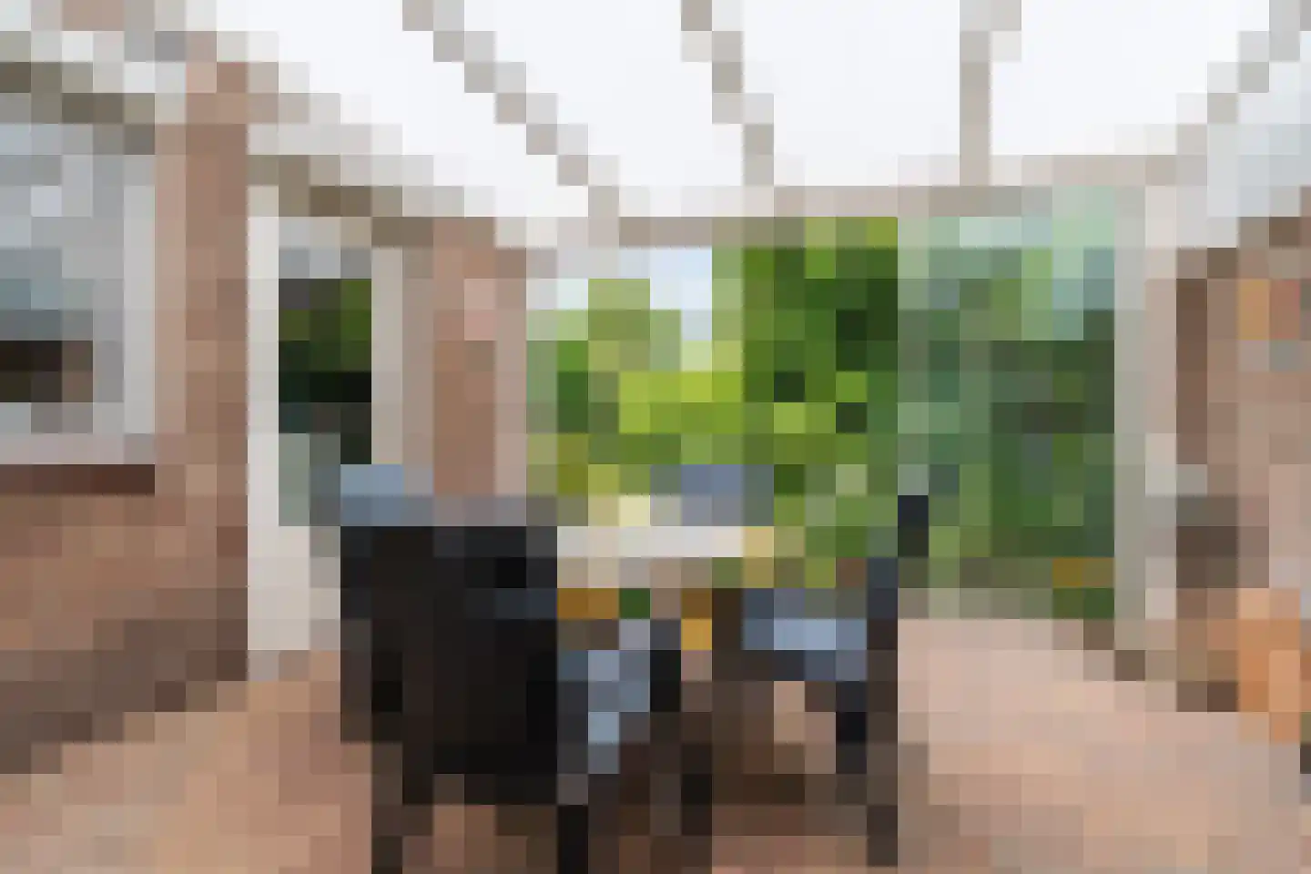 Narcislaan 50 Leende thumbnail 33