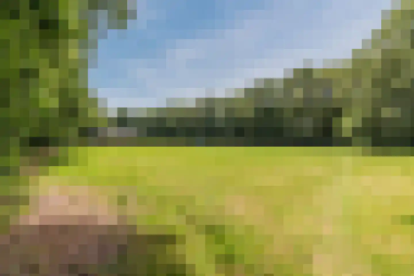 Narcislaan 50 Leende thumbnail 34