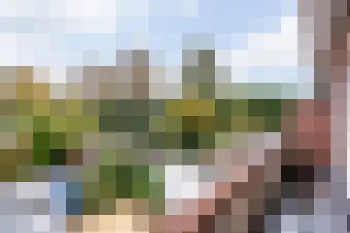 Narcislaan 6 Wassenaar thumbnail 22