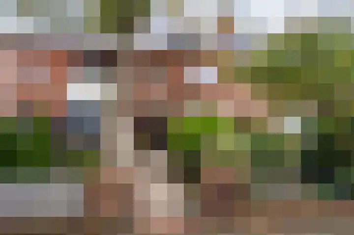 Narcislaan 6 Wassenaar thumbnail 34