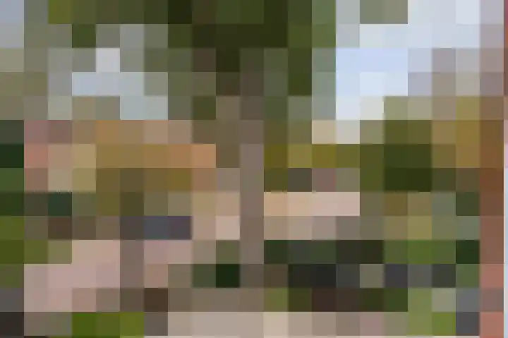 Narcislaan 6 Wassenaar thumbnail 4