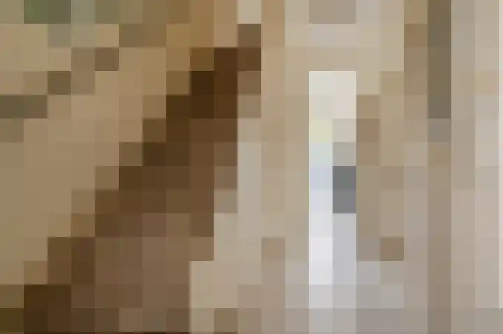 Narcislaan 6 Wassenaar thumbnail 7