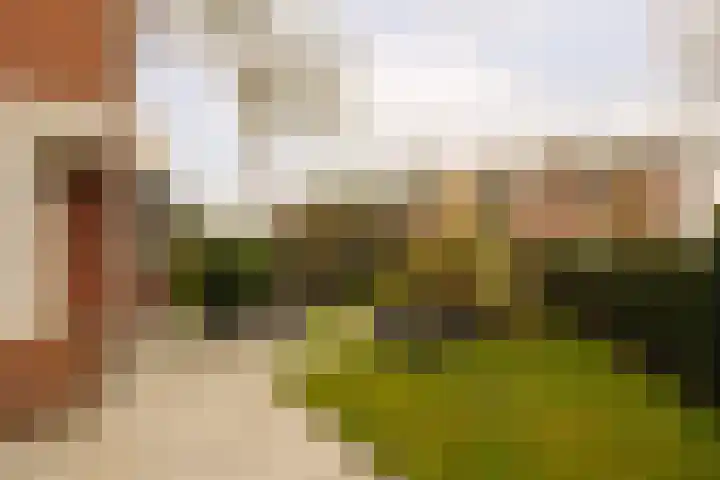 Narcislaan 8 Wassenaar thumbnail 38
