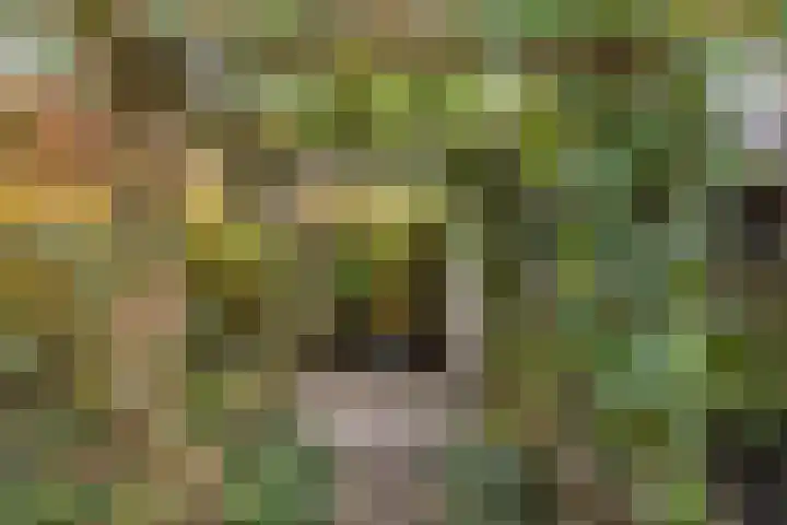 Narcislaan 8 Winkel thumbnail 37