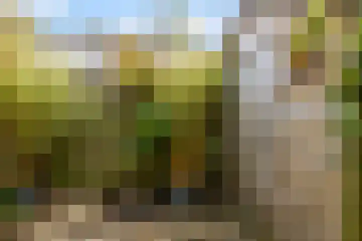 Narcislaan 8 Winkel thumbnail 38