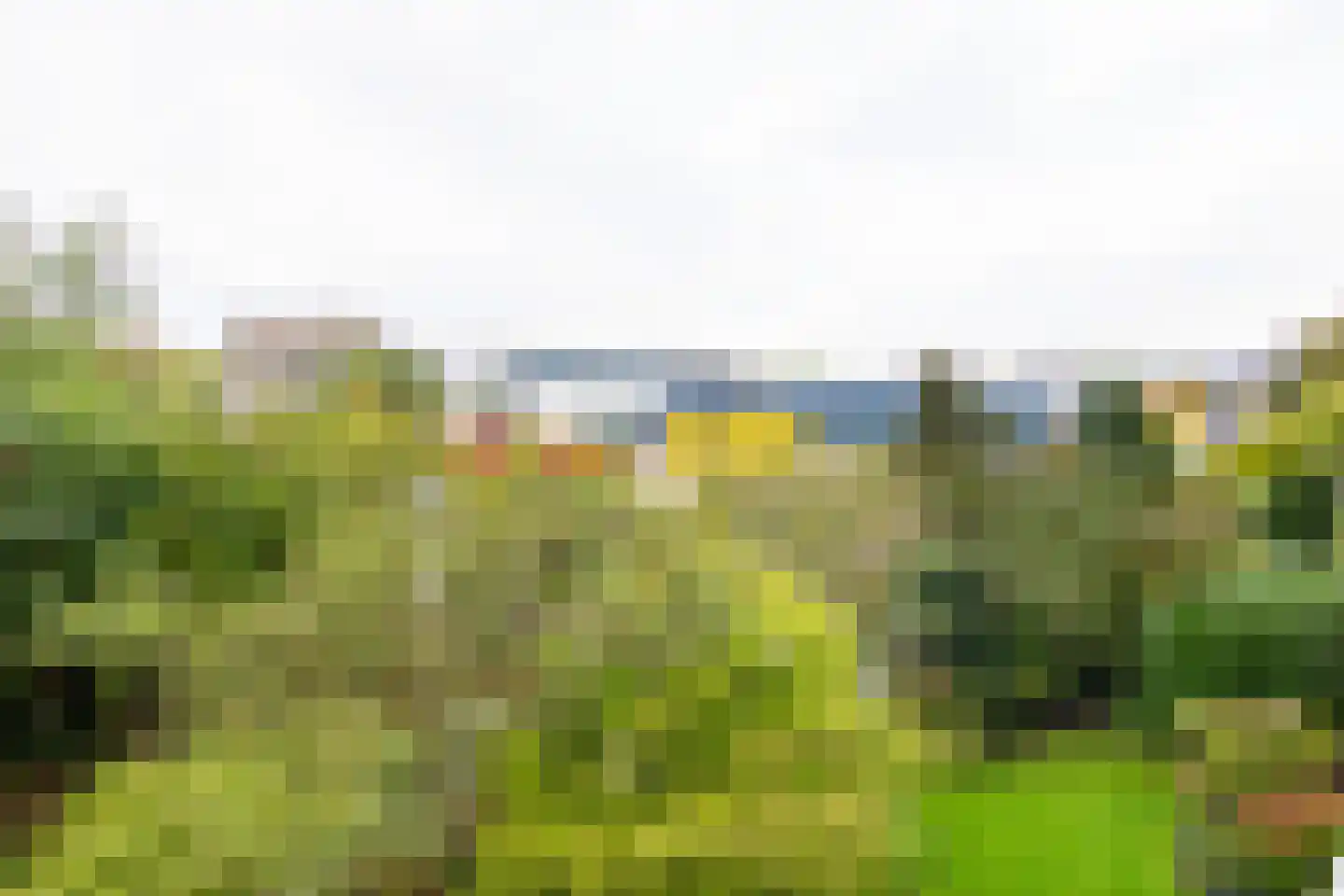 Narcisplantsoen 125 Haarlem thumbnail 15