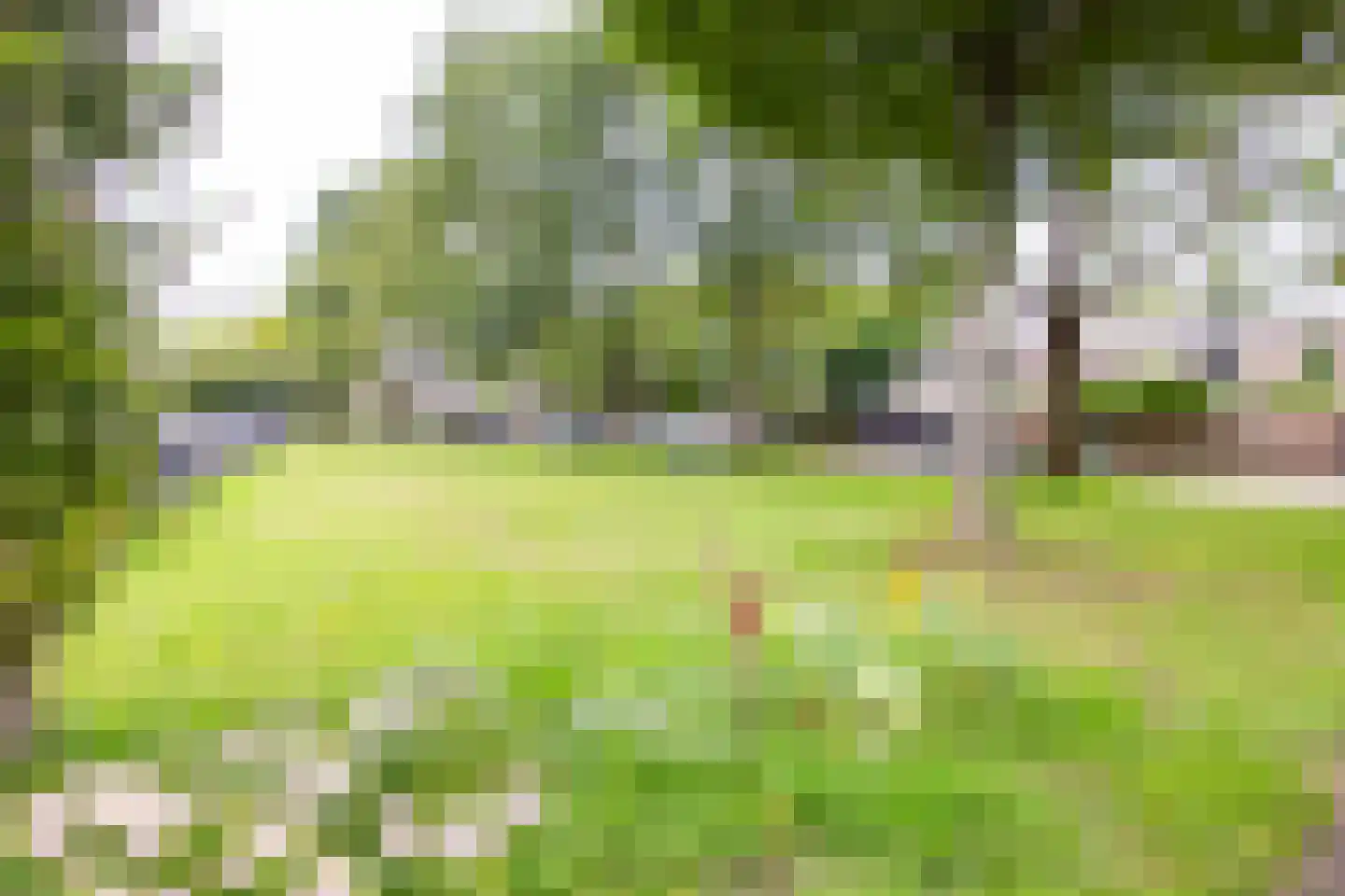 Narcisplantsoen 125 Haarlem thumbnail 29