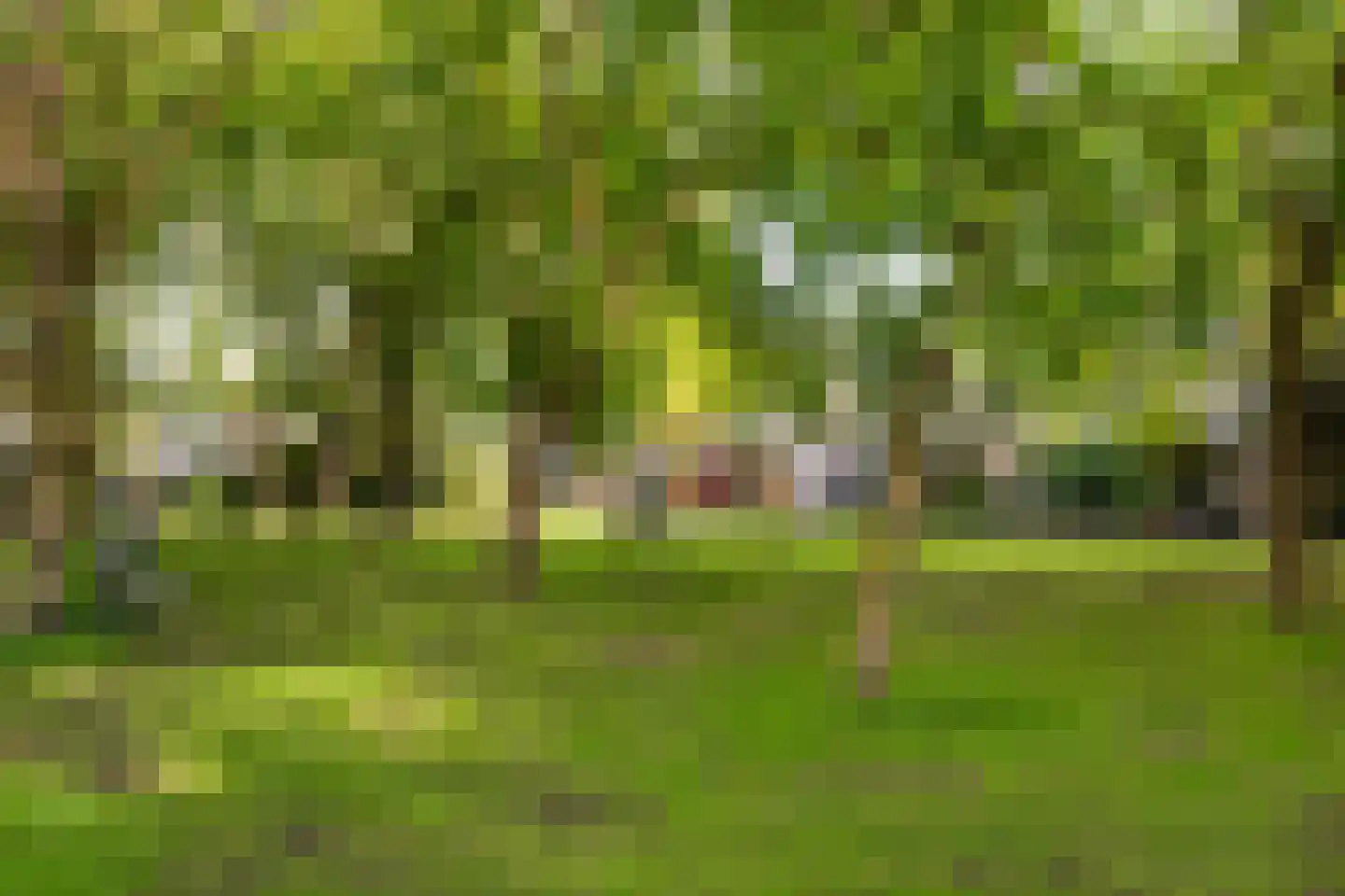 Narcisplantsoen 126 Haarlem thumbnail 21