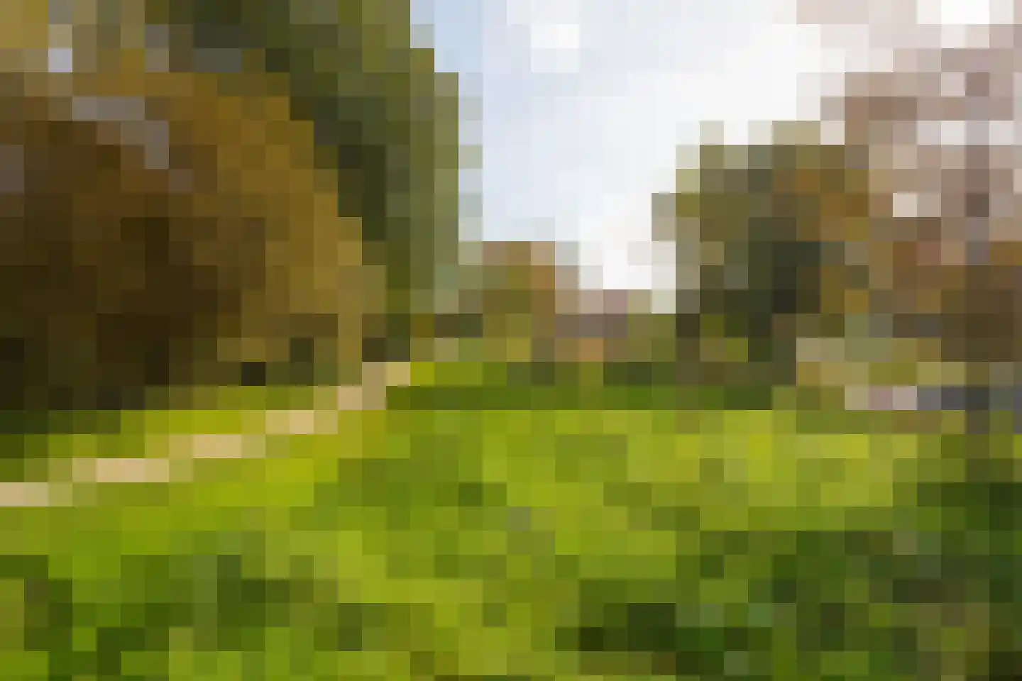 Narcisplantsoen 126 Haarlem thumbnail 23