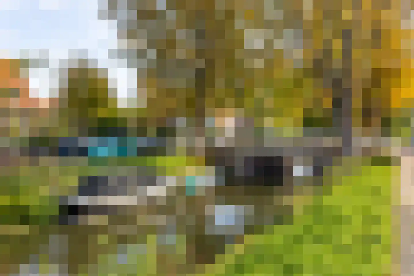 Narcisplantsoen 126 Haarlem thumbnail 25