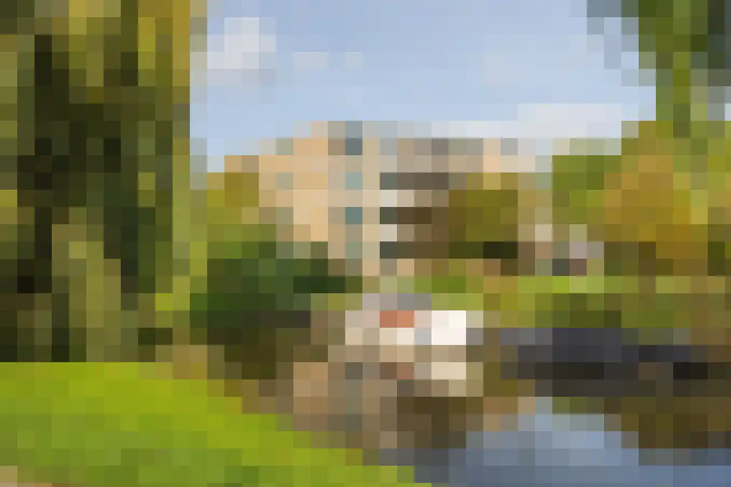 Narcisplantsoen 126 Haarlem thumbnail 27