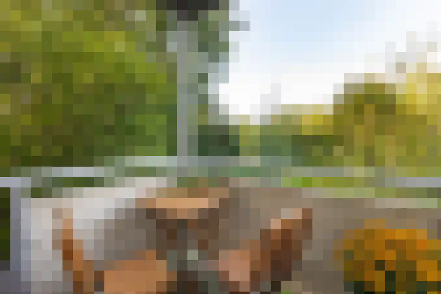 Narcisplantsoen 126 Haarlem thumbnail 5