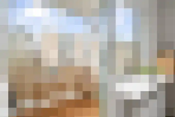 Narcisplantsoen 137 Haarlem thumbnail 20