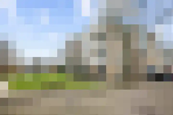 Narcisplantsoen 137 Haarlem thumbnail 23