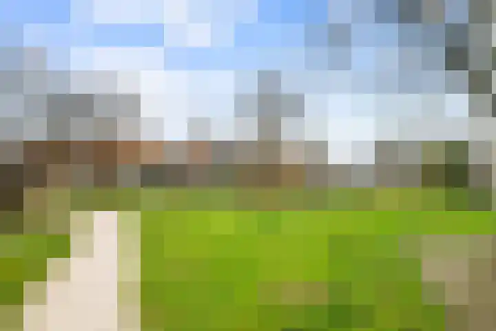 Narcisplantsoen 137 Haarlem thumbnail 26