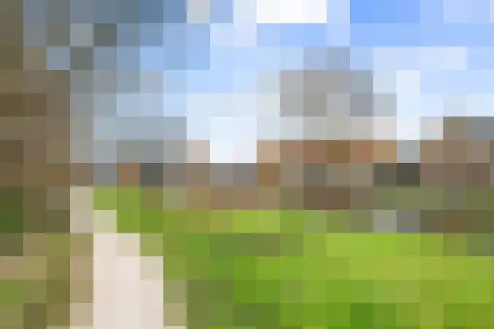 Narcisplantsoen 137 Haarlem thumbnail 27
