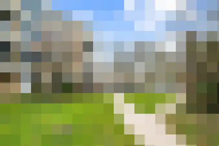 Narcisplantsoen 137 Haarlem thumbnail 29
