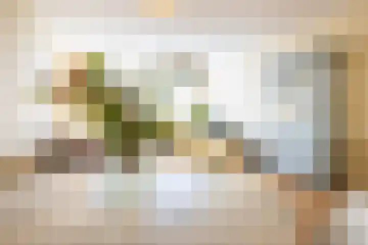 Narcisplantsoen 142 Haarlem thumbnail 18