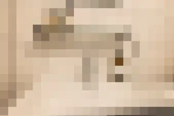 Narcisplantsoen 142 Haarlem thumbnail 23