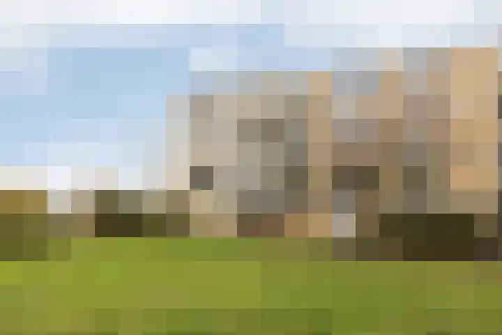 Narcisplantsoen 142 Haarlem thumbnail 5
