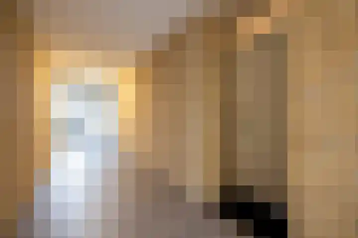 Narcisplantsoen 142 Haarlem thumbnail 8