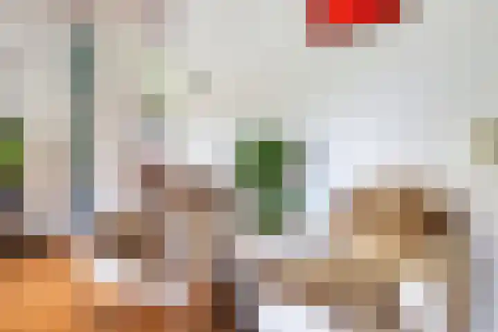 Narcisplantsoen 17 Berkel en Rodenrijs thumbnail 12