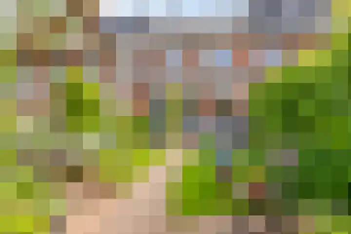 Narcisplantsoen 17 Berkel en Rodenrijs thumbnail 16