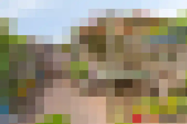 Narcisplantsoen 17 Berkel en Rodenrijs thumbnail 19