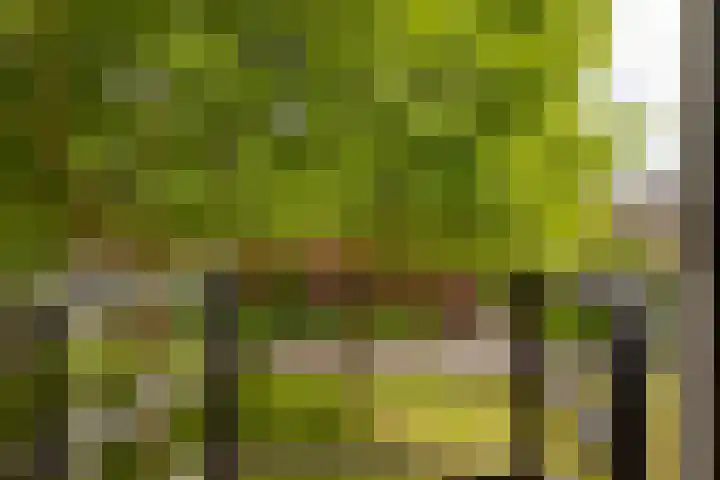 Narcisplantsoen 17 Berkel en Rodenrijs thumbnail 22