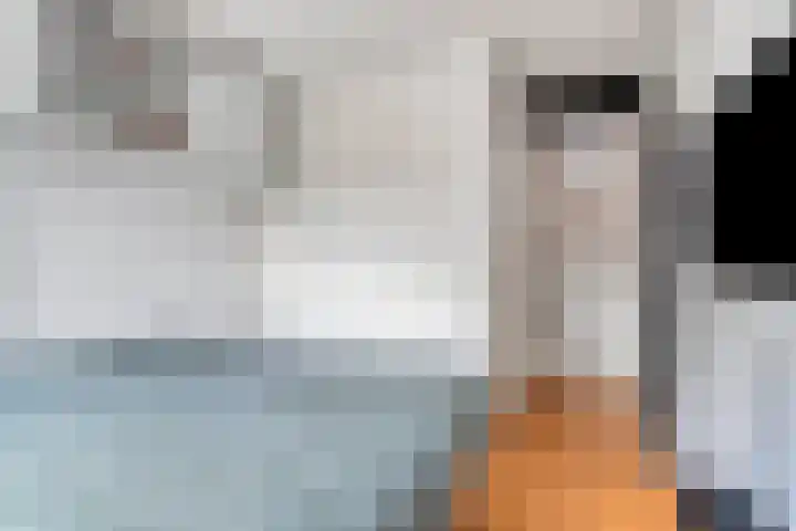 Narcisplantsoen 17 Berkel en Rodenrijs thumbnail 26
