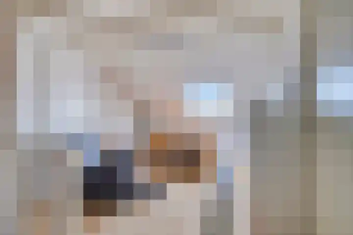 Narcisplantsoen 17 Berkel en Rodenrijs thumbnail 29
